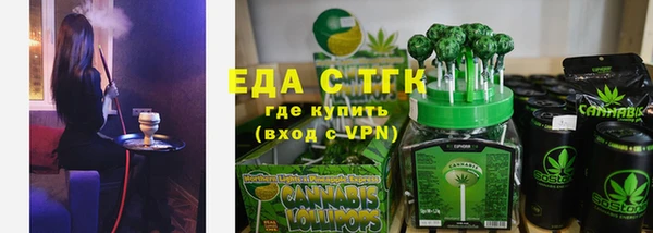 индика Богородск