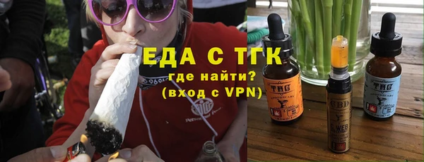 дживик Верхний Тагил