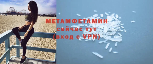 индика Богородск
