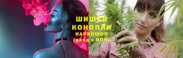 индика Богородск