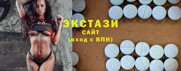 индика Богородск