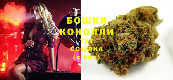 винт Верея