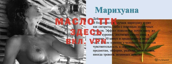 индика Богородск