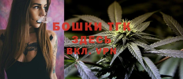 винт Верея